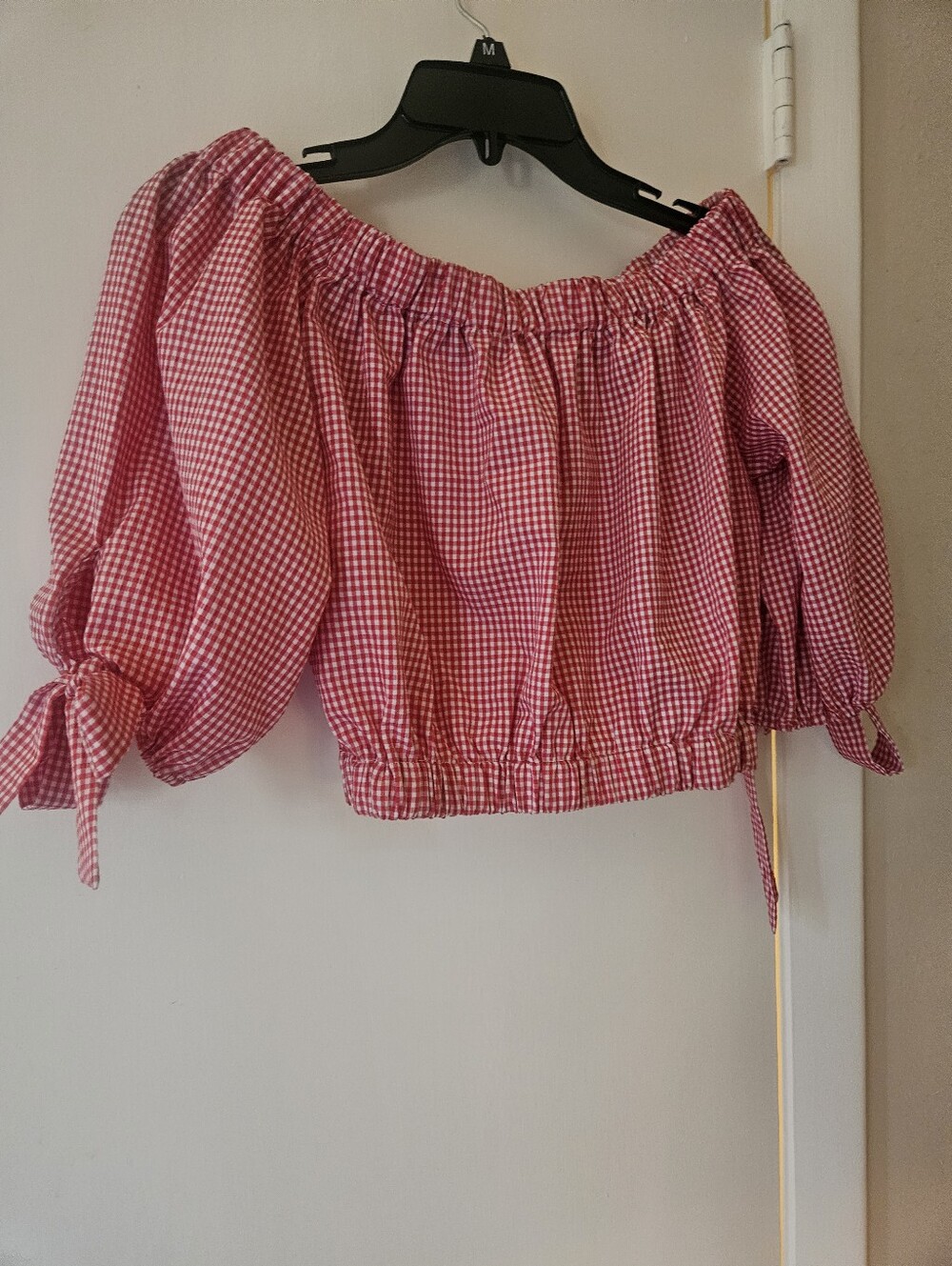 Zara Red and White Gingham Crop Top